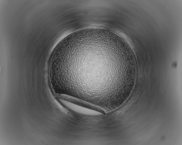 X0000091101235200708201512