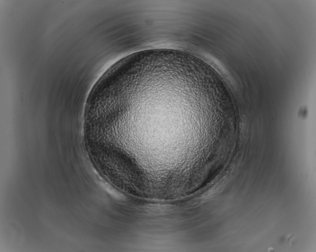 X0000091101236200708201512