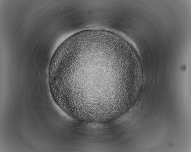 X0000091101239200708201512