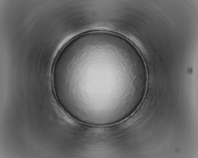 X0000091101240200708201512