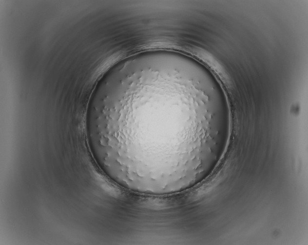 X0000091101241200708201512