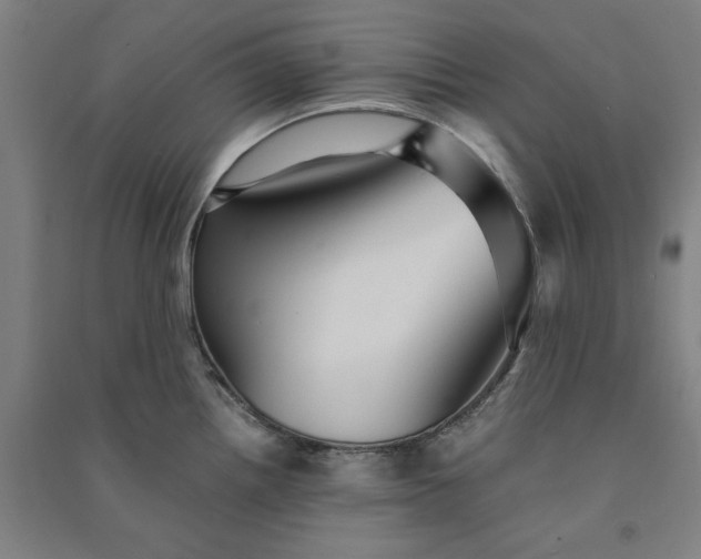 X0000091101242200708201512