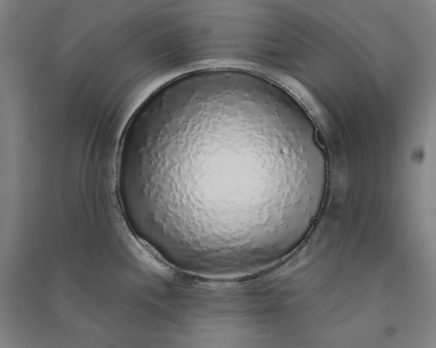 X0000091101244200708201513