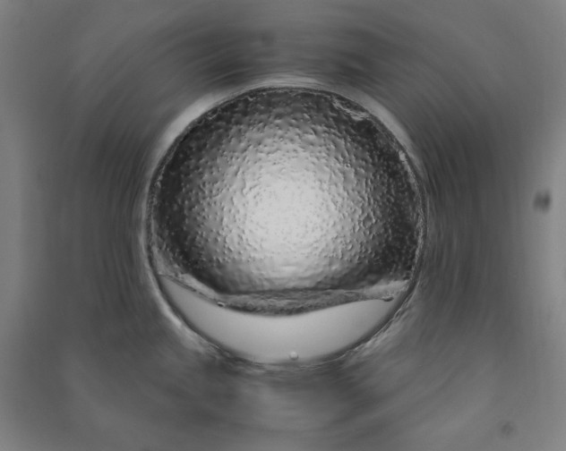 X0000091101245200708201513