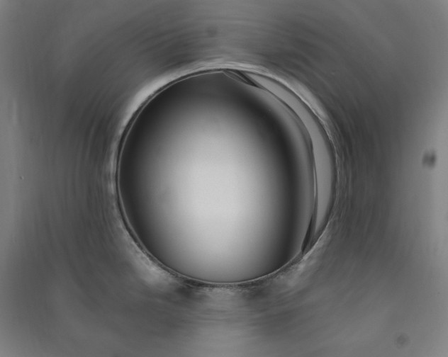 X0000091101246200708201513