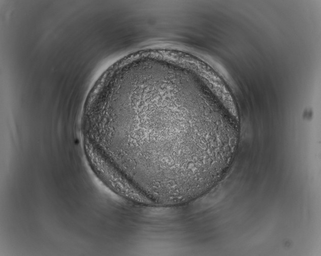 X0000091101247200708201513