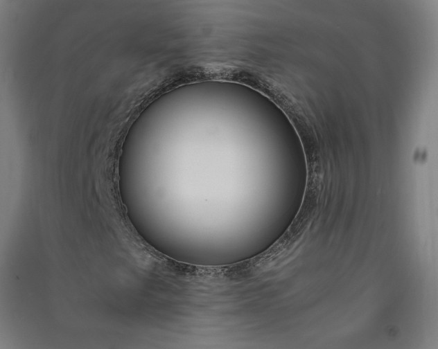 X0000091101249200708201512