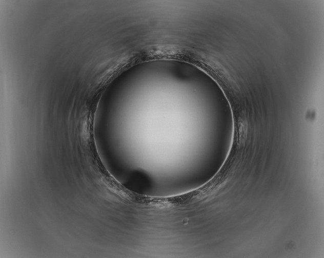 X0000091101250200708201512