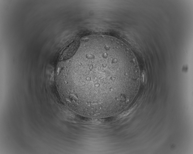 X0000091101251200708201512