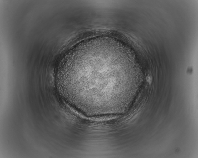 X0000091101252200708201512