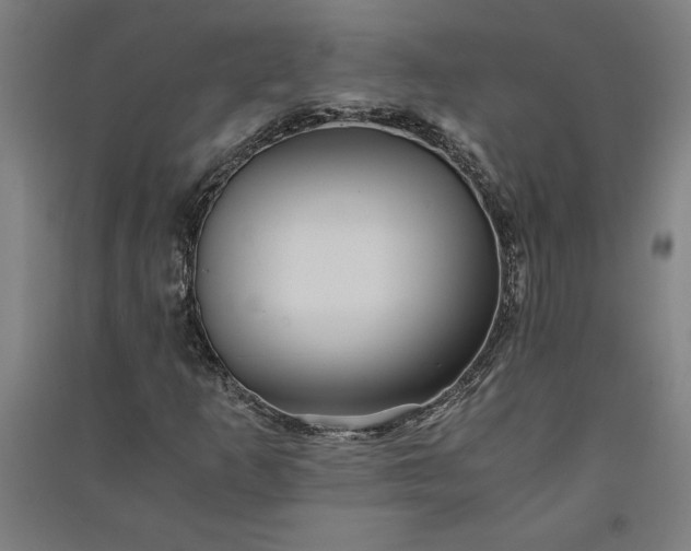 X0000091101253200708201512