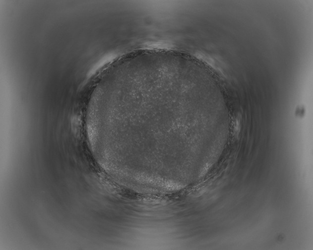 X0000091101254200708201512