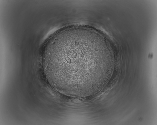 X0000091101255200708201512