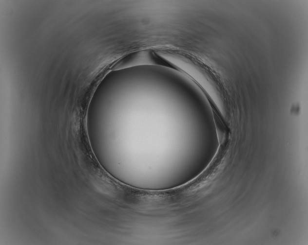 X0000091101257200708201512