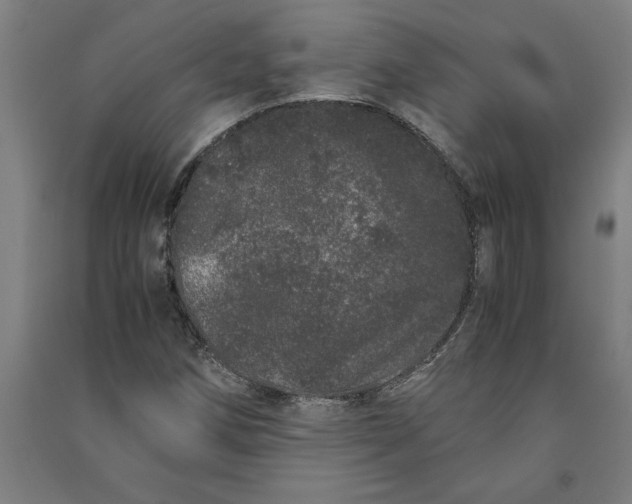 X0000091101258200708201512