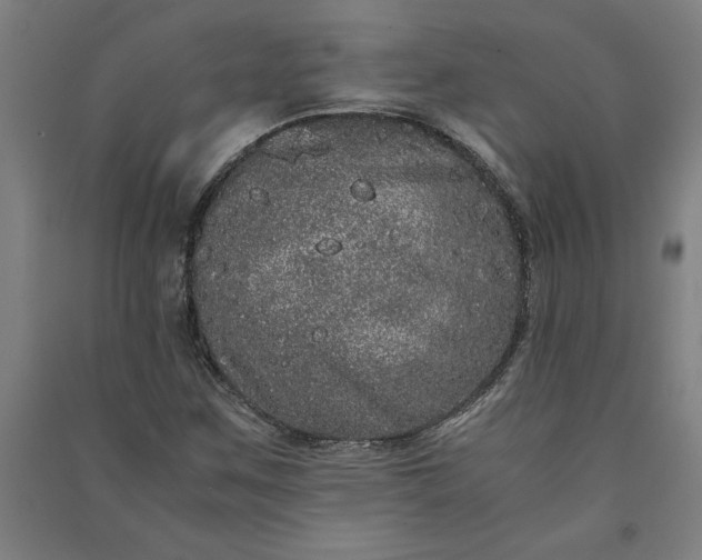 X0000091101259200708201512