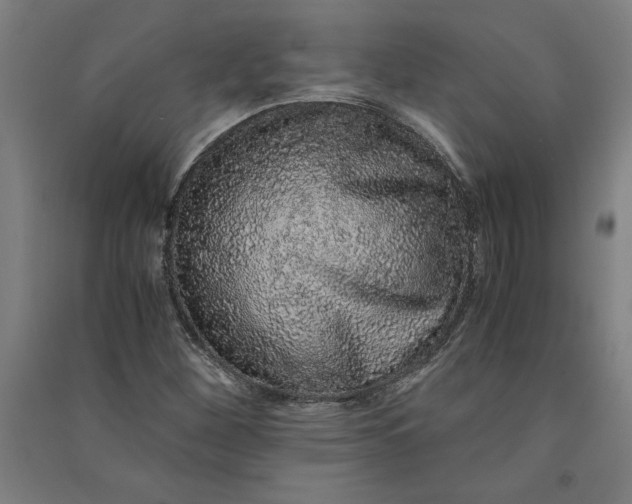 X0000091101260200708201512