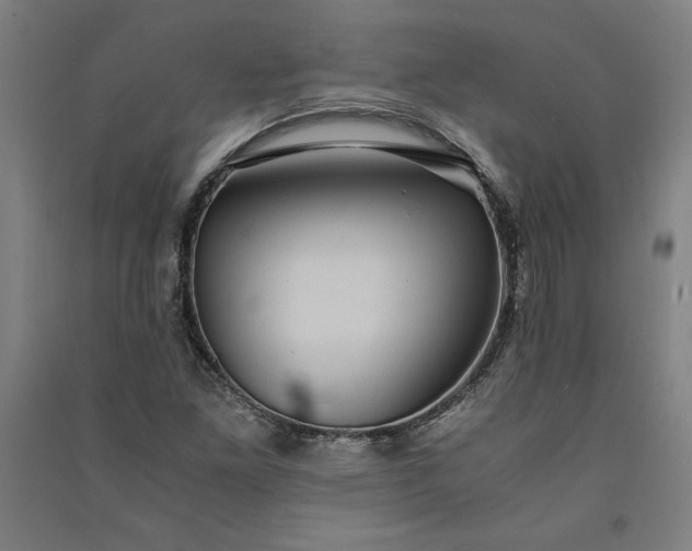 X0000091101261200708201512