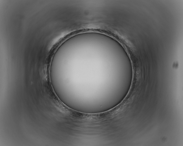 X0000091101262200708201512