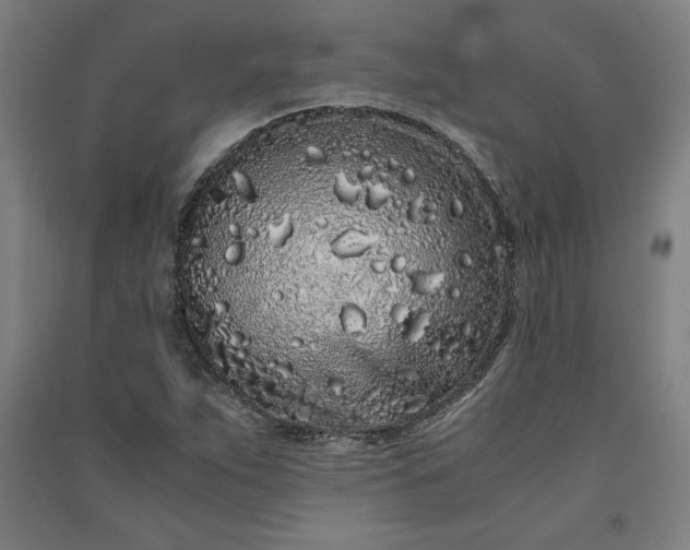 X0000091101263200708201512