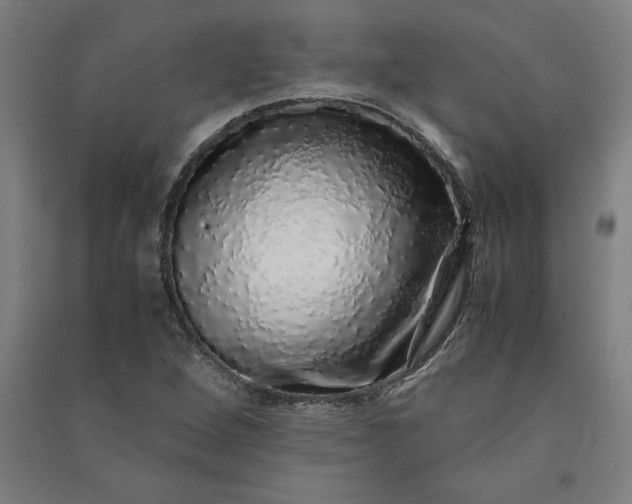 X0000091101264200708201512