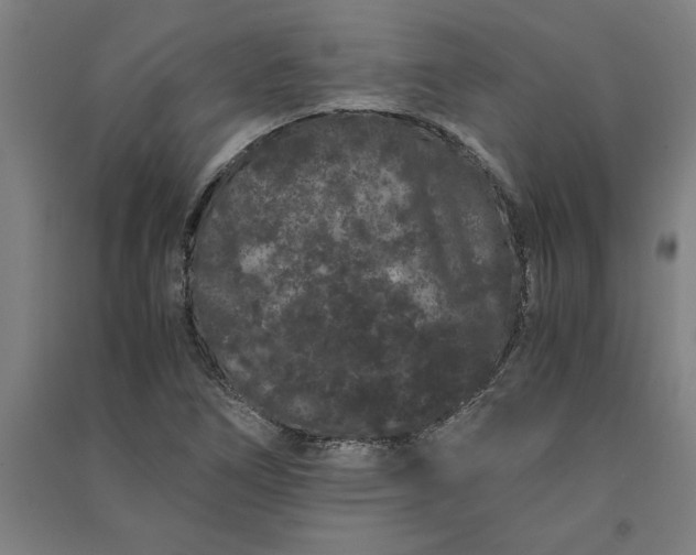 X0000091101266200708201512