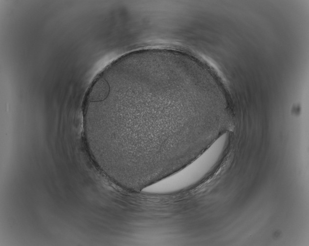 X0000091101267200708201512