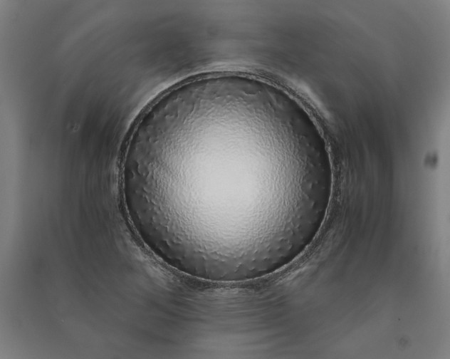 X0000091101268200708201512