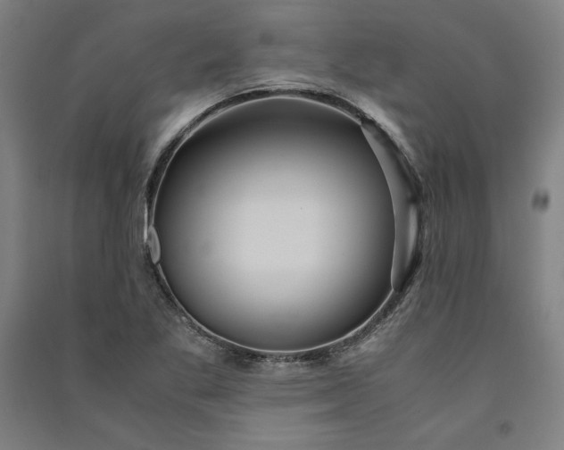 X0000091101269200708201512