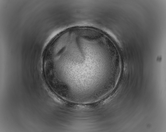 X0000091101270200708201512