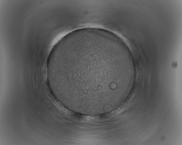 X0000091101271200708201512