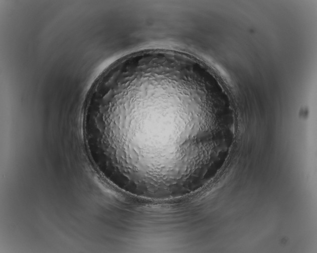 X0000091101272200708201512