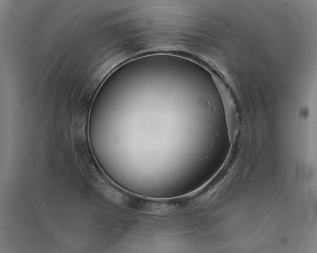 X0000091101273200708201512