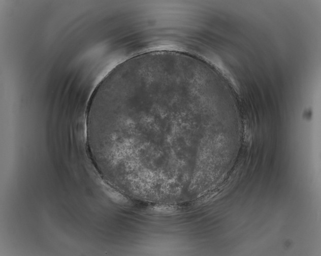 X0000091101274200708201512