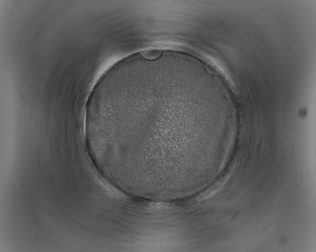 X0000091101275200708201512