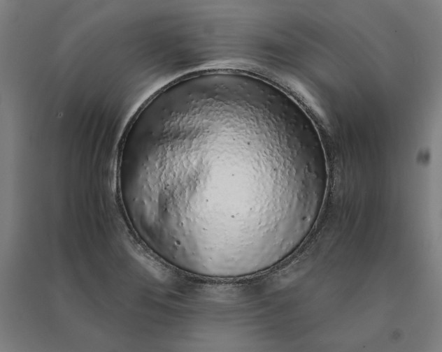 X0000091101276200708201512