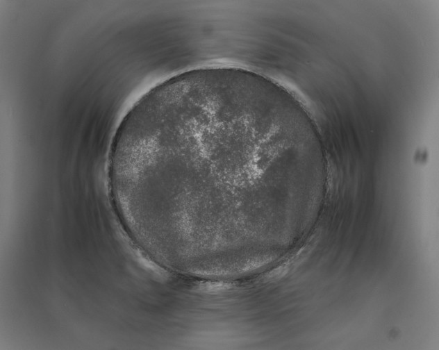 X0000091101278200708201512