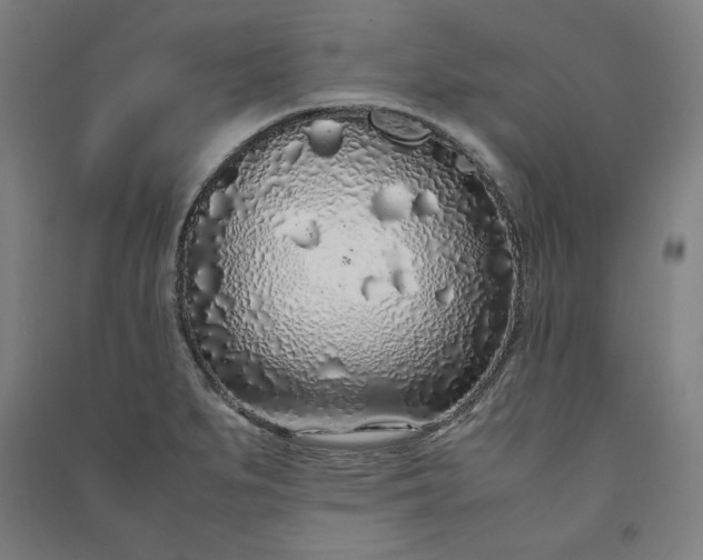 X0000091101279200708201511