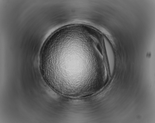 X0000091101280200708201511