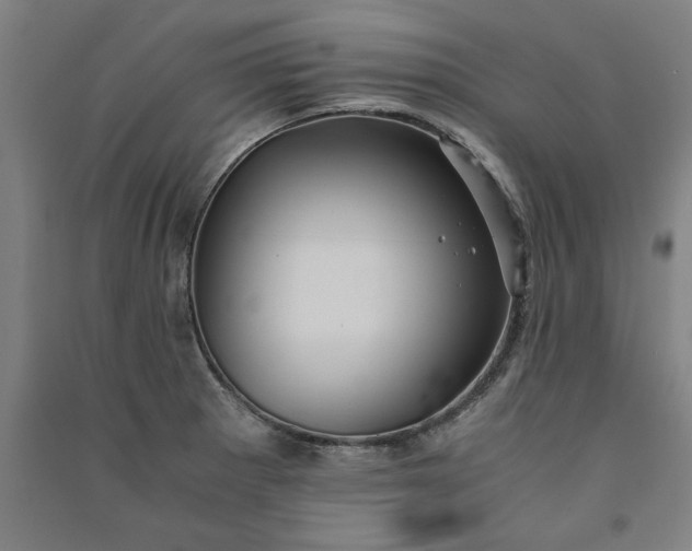 X0000091101281200708201511