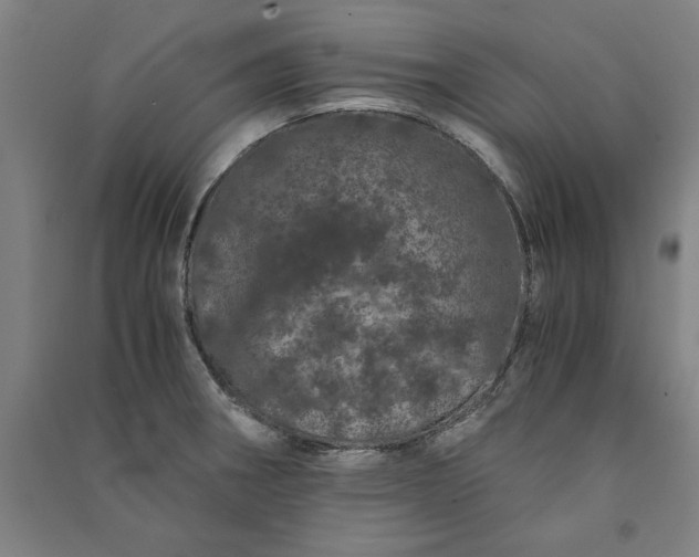 X0000091101282200708201511