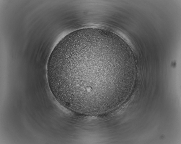 X0000091101283200708201511