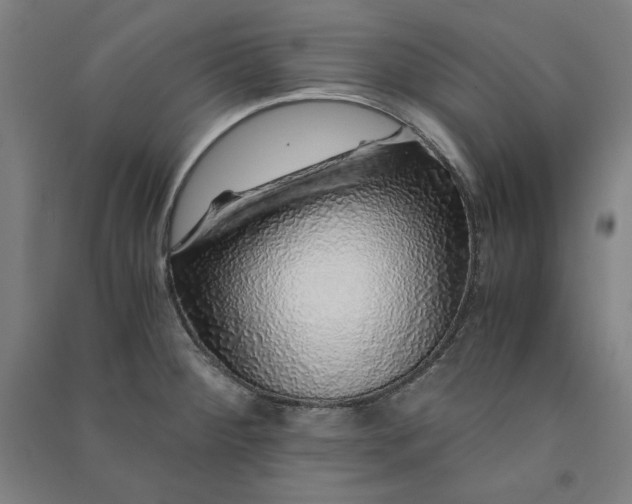 X0000091101284200708201511