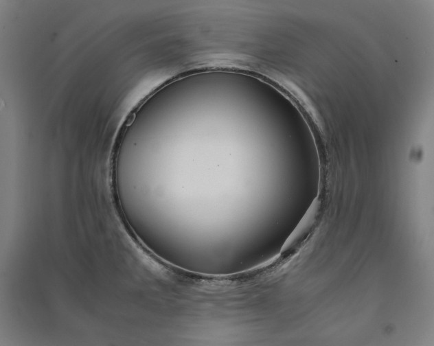 X0000091101285200708201511