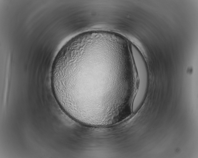 X0000091101288200708201511