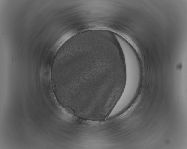 X0000091101289200708201511