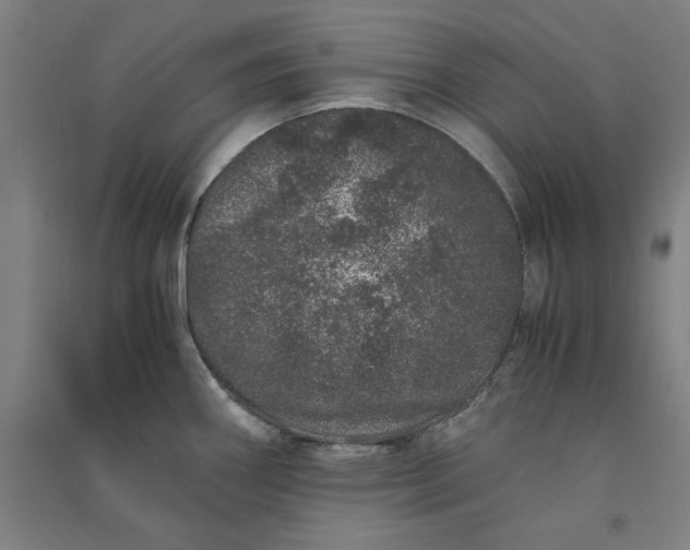 X0000091101290200708201511