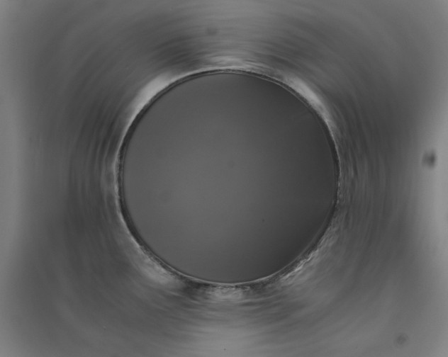 X0000091101291200708201511