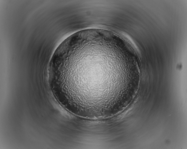 X0000091101292200708201511