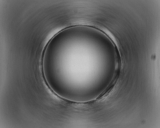 X0000091101293200708201511